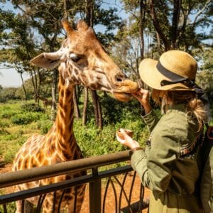 Emails zoos parcs loisirs, parcs d'attractions